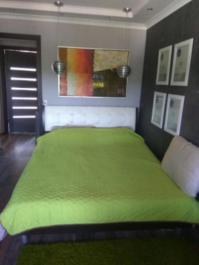 Homestay on Kazymyra Malevycha